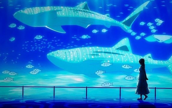 Aquarium Youth